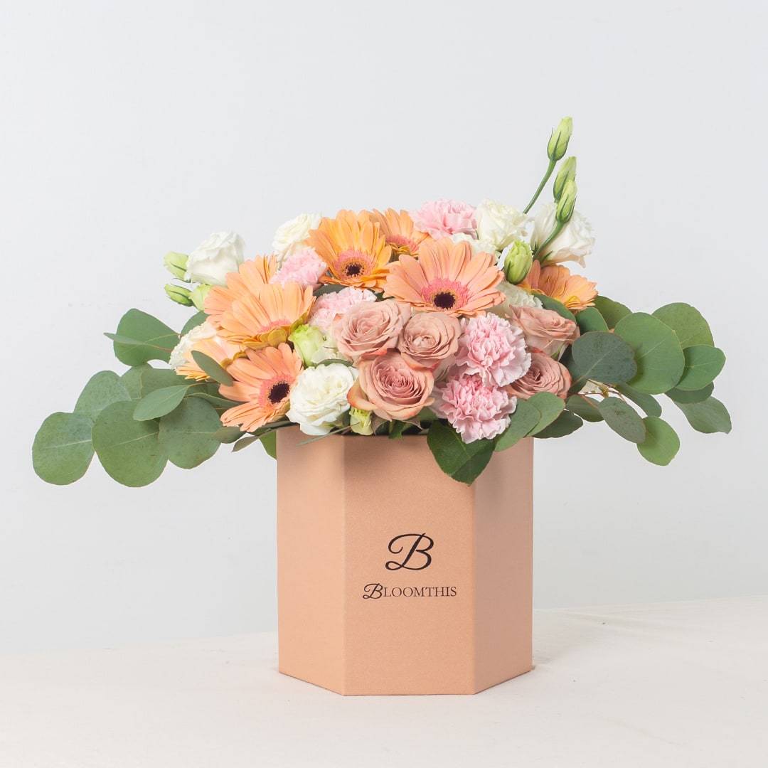 Blake Peach Gerbera Flower Box (VDV)