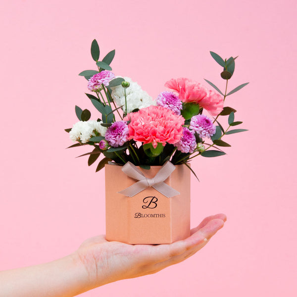 Chaya Carnation Mini Flower Box