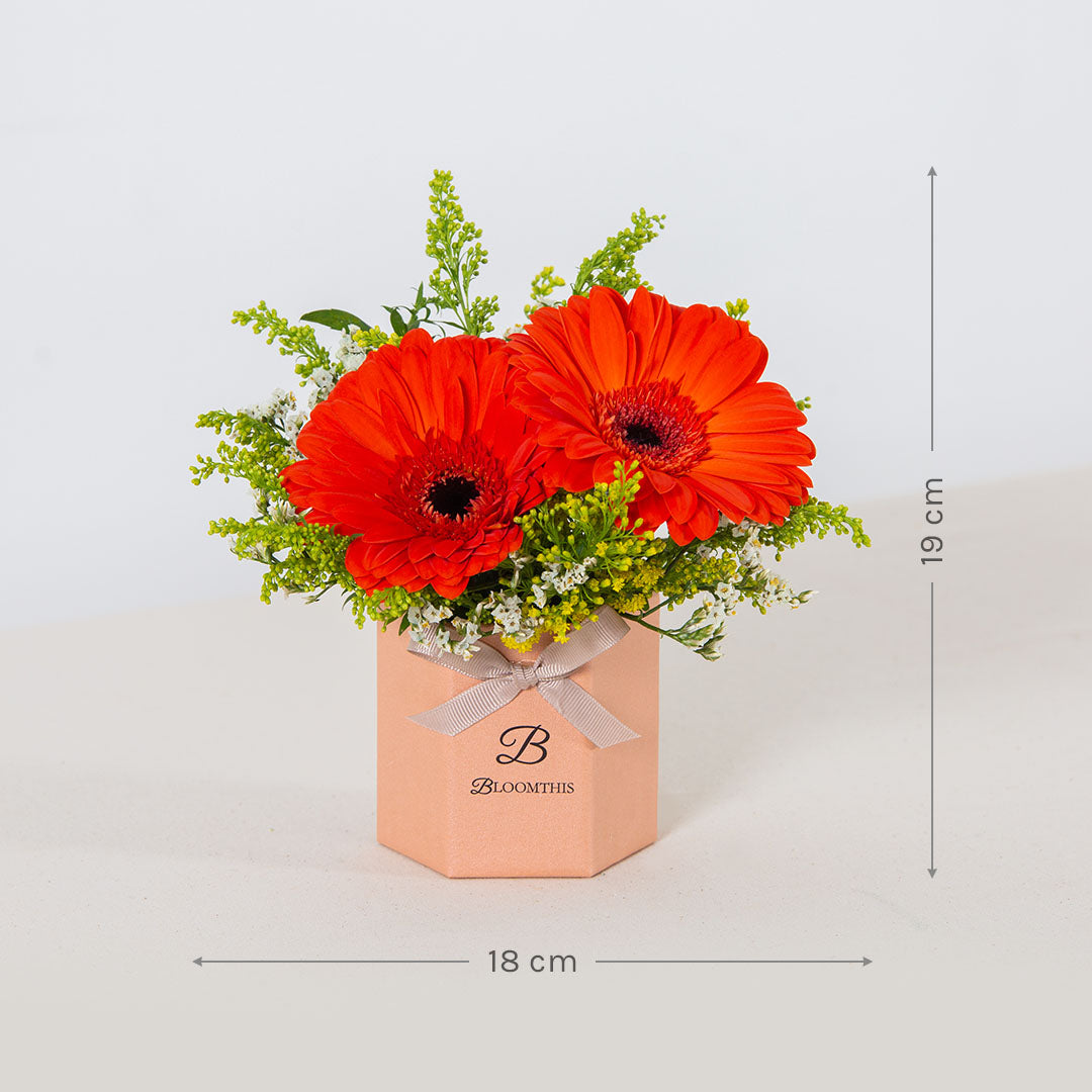 Fabuelo Gerbera Mini Flower Box