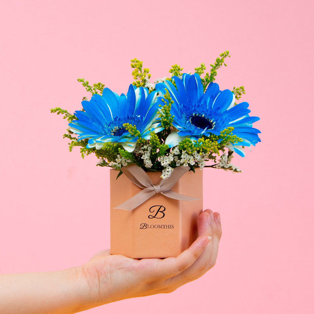 Francisco Gerbera Mini Flower Box