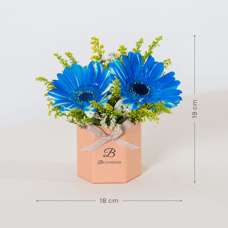 Francisco Gerbera Mini Flower Box