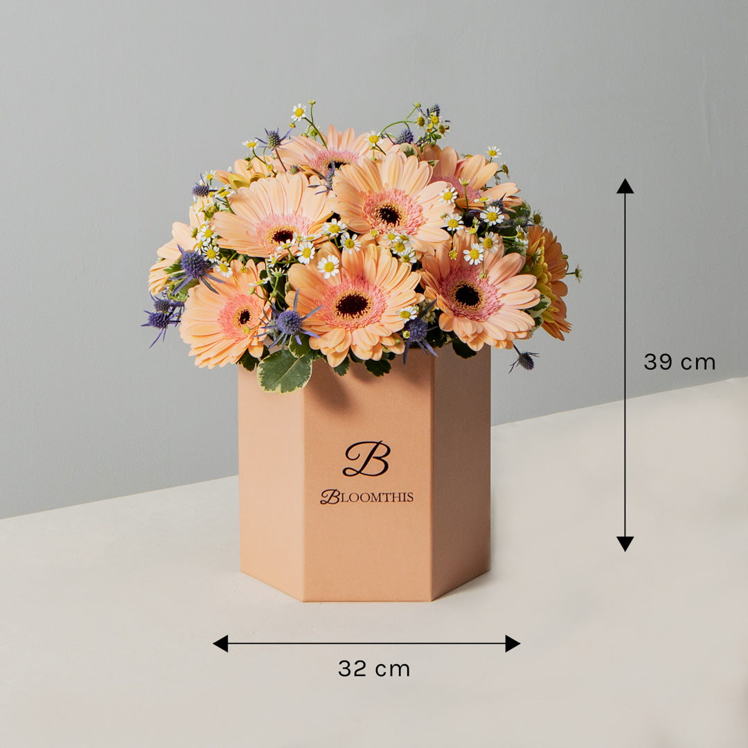 Joyce Peach Daisy Flower Box