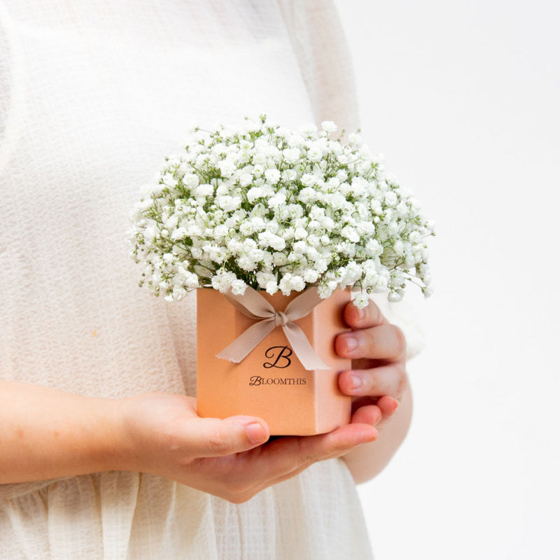 Joyful Baby's Breath Mini Flower Box