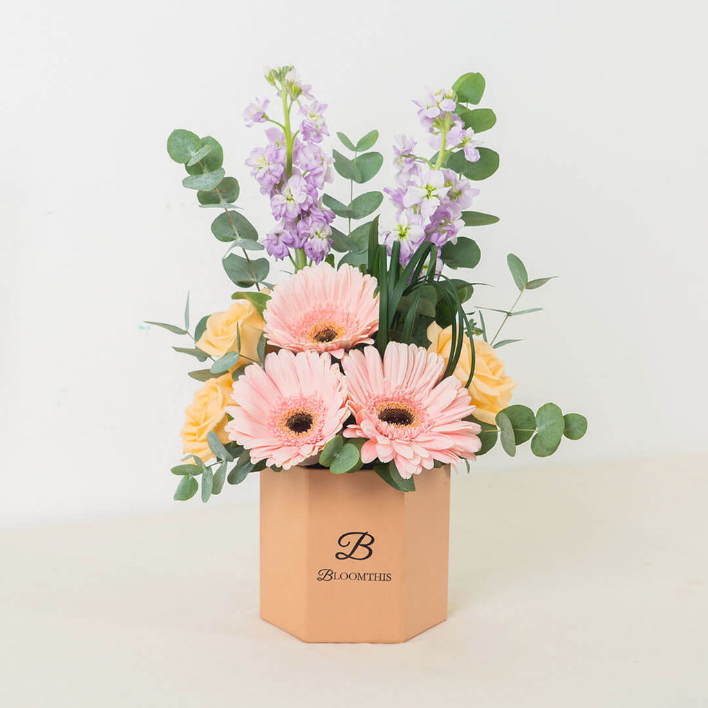 Naomi Pink Gerbera Flower Box (VDV)