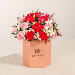 Phoebe Pink Carnation Flower Box
