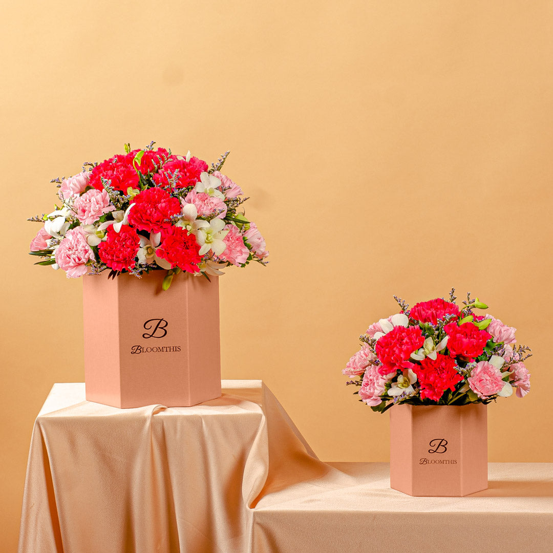 Phoebe Pink Carnation Flower Box (MDV)