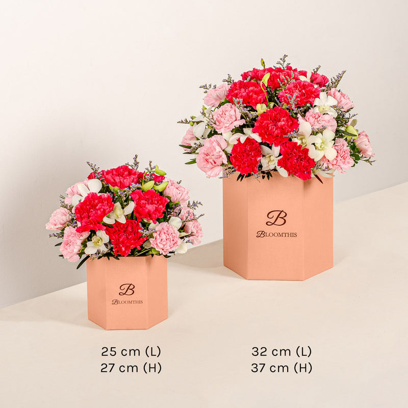 Phoebe Pink Carnation Flower Box