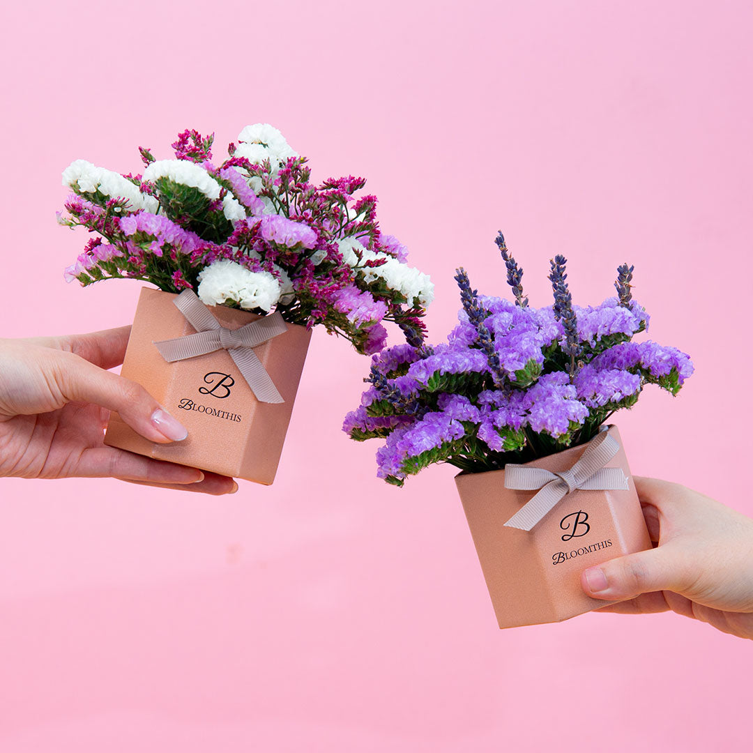 Shamimi Statice Mini Flower Box