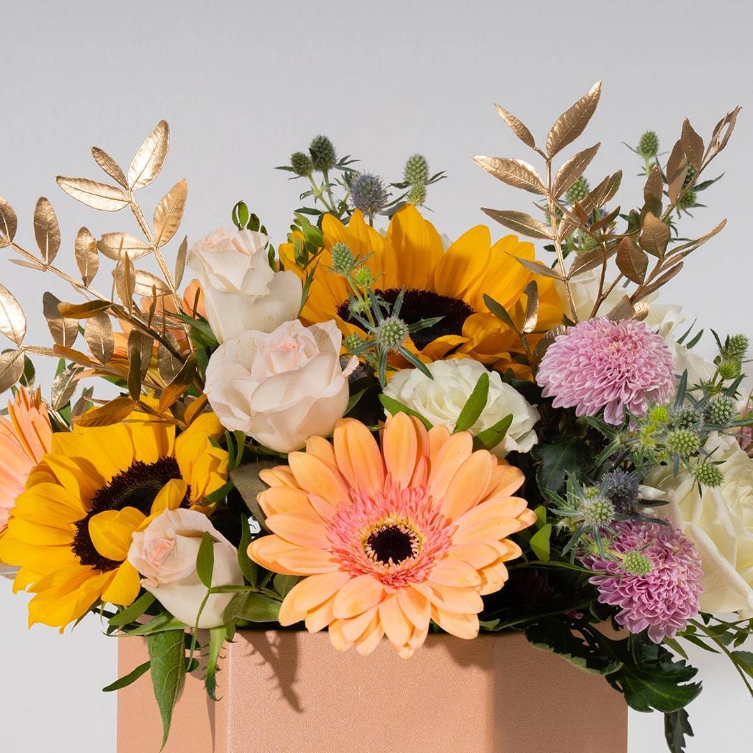 Steph Sunflower & Gerbera Flower Box (MDV)