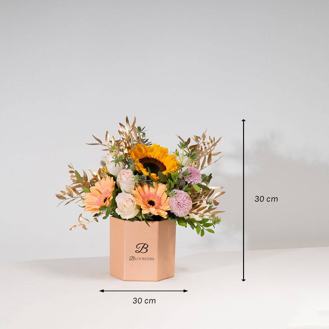 Steph Sunflower & Gerbera Flower Box (SC)