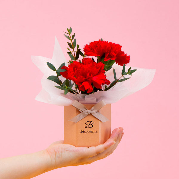 Wynona Carnation Mini Flower Box