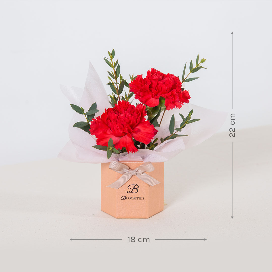 Wynona Carnation Mini Flower Box