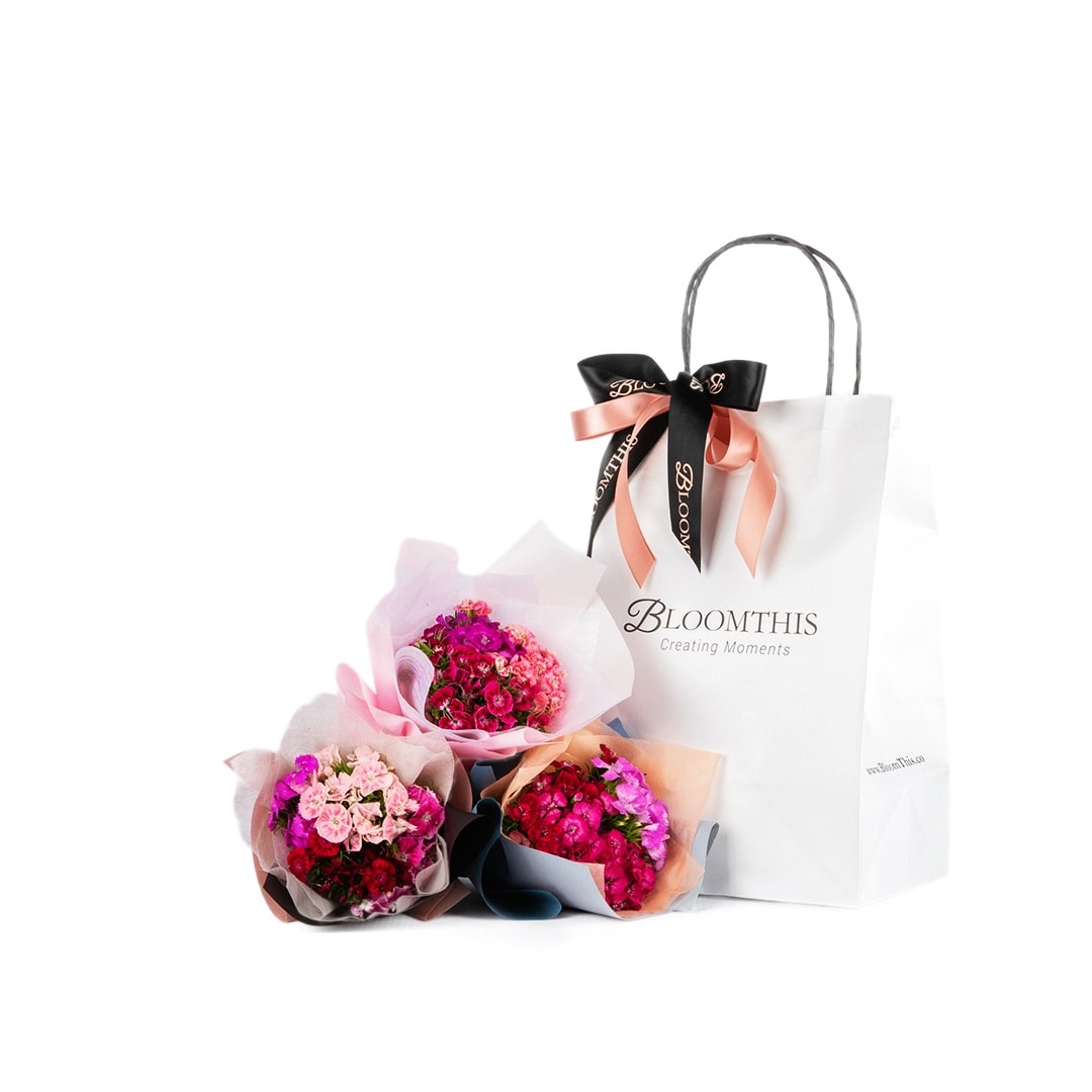 Aella Sweet William Mini Bouquet Set (3 pcs)