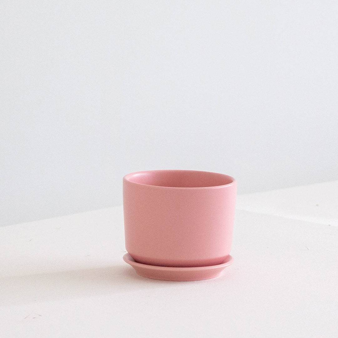 SYDAL Pink Pot 11 cm (D)