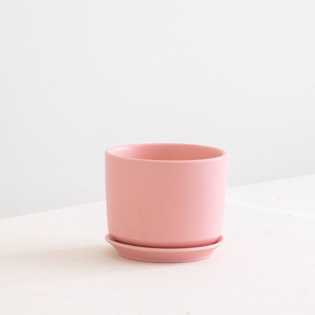 SYDAL Pink Pot 14.5 cm (D)